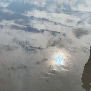 Meet your Posher, Shareia